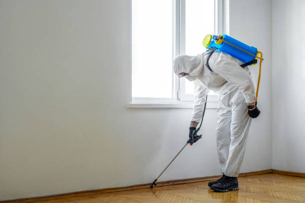 Professional Pest Control in Pleasure Point, CA